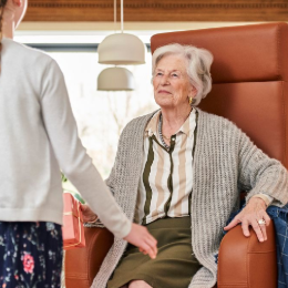 Template 260 x 260-42-Dame in relaxzetel